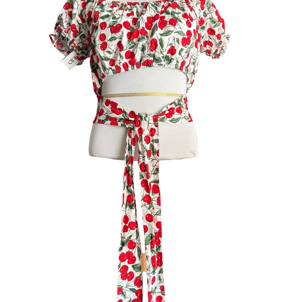 Cider Cherry Patterned Crop Top -NWT